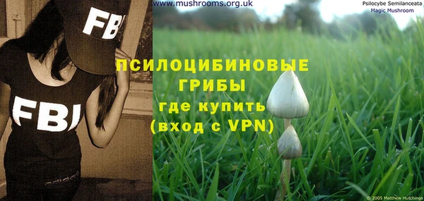 дурь Арсеньев