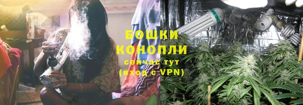 дурь Арсеньев