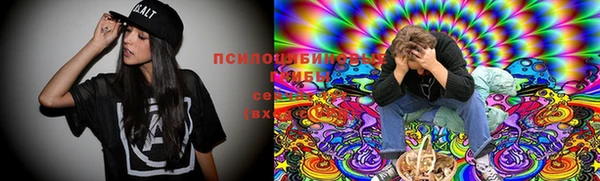 дурь Арсеньев